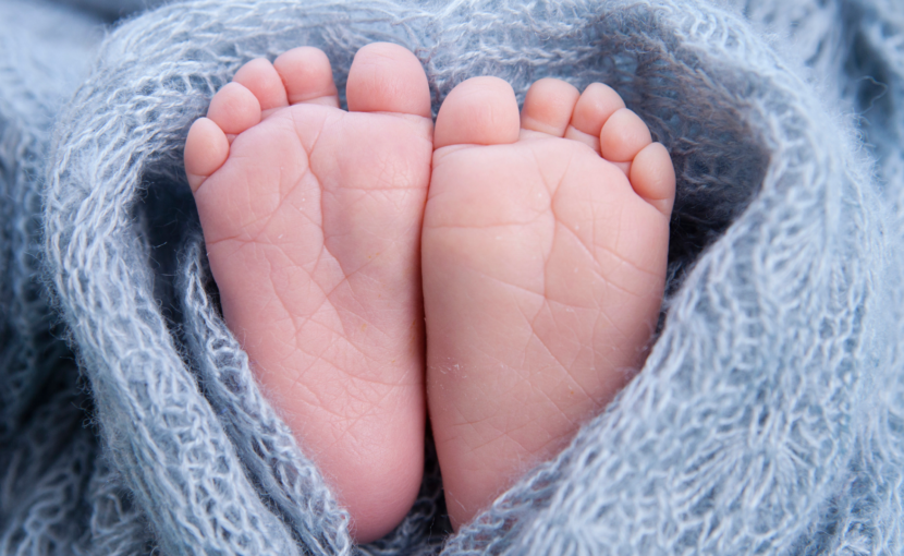 赤ちゃんの手足が冷たいのは寒いだけじゃない マミーケアルーム 38mw 静岡県三島市の妊婦整体助産院